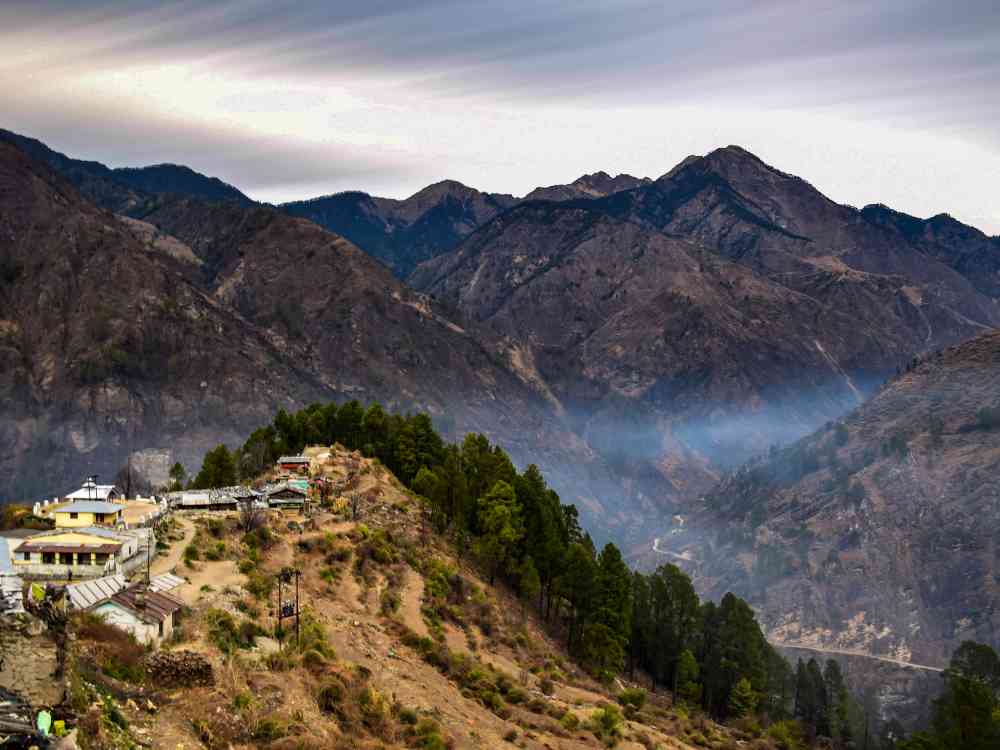 Bird's Eye View of Sanskri 