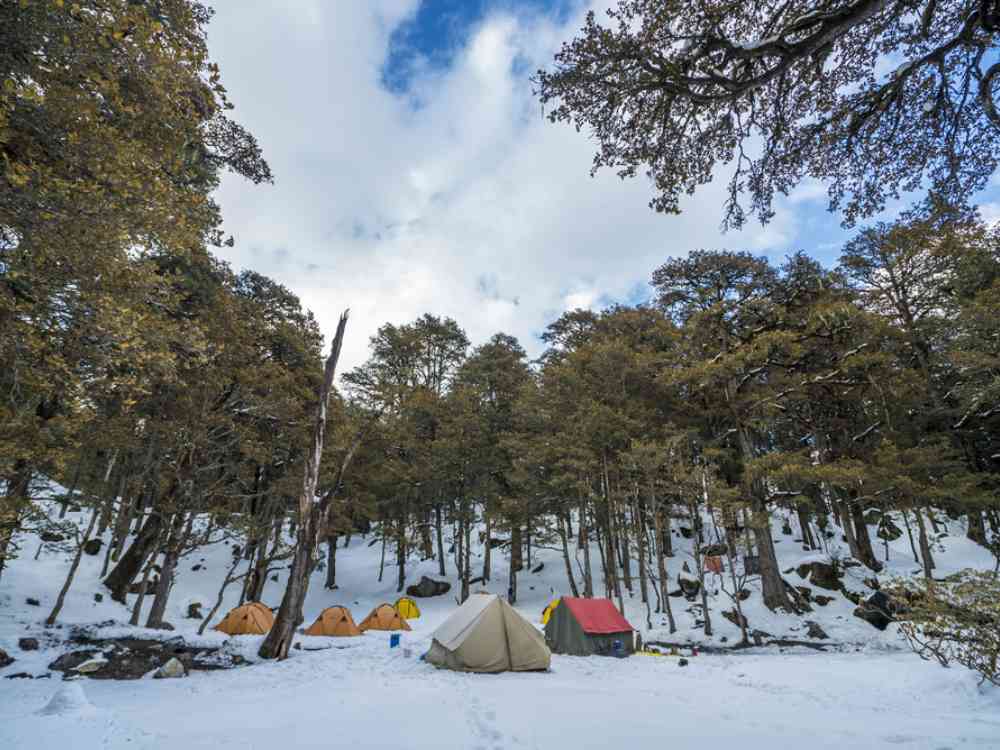 Campsite in Kuari Pass