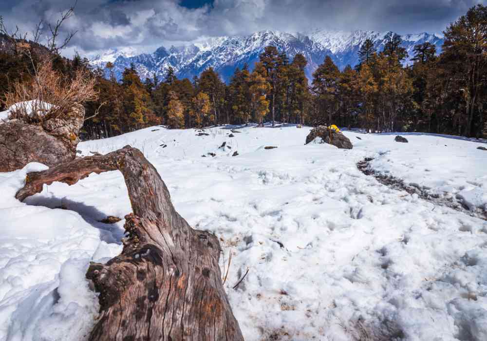 Snow-covered trails of Kuari Pass