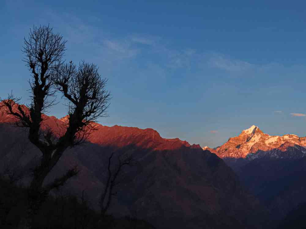 Alpine Glow from Kuari Pass