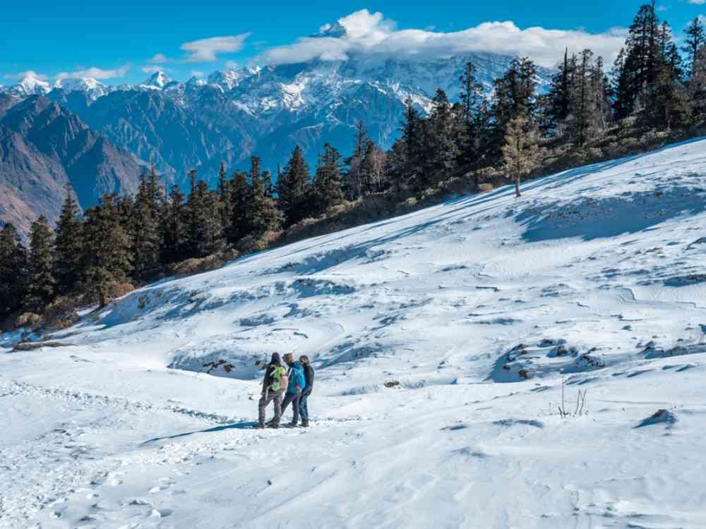 Winter Wonderland - Kuari Pass Trek