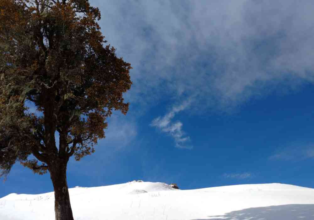 Clear Sky view from Kuari Pass