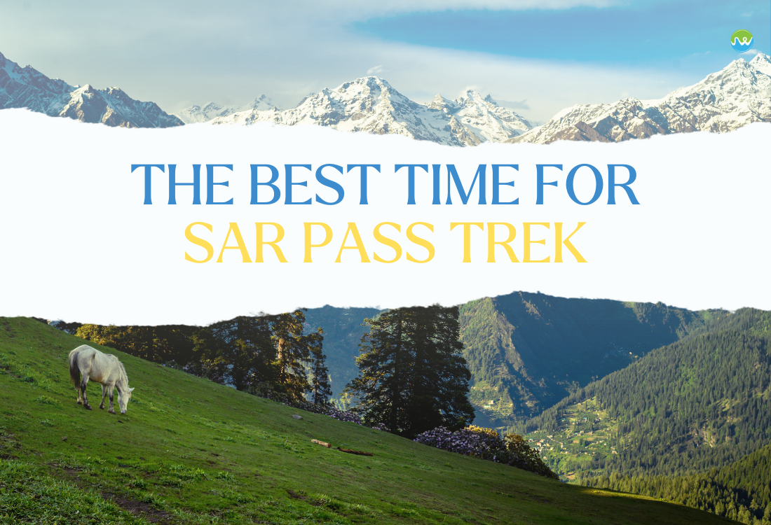 Best Time To Visit Sar Pass Trek 