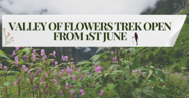 Valley of Flowers Trek is open