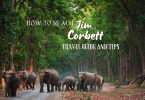 How to reach Jim Corbett from Delhi and Mumbai by flight, rail and road.