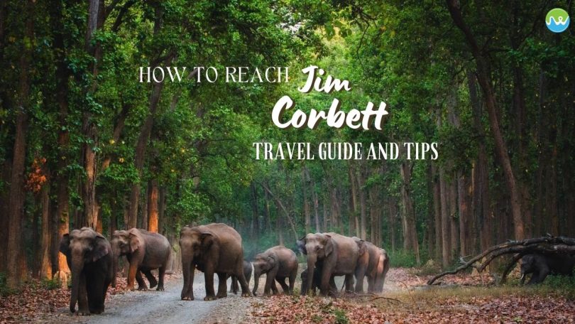 How to reach Jim Corbett from Delhi and Mumbai by flight, rail and road.