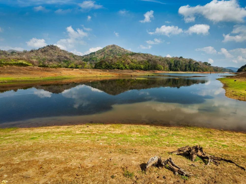 Beautiful landscape of Periyar wildlife sanctuary, Idukki, Kerala