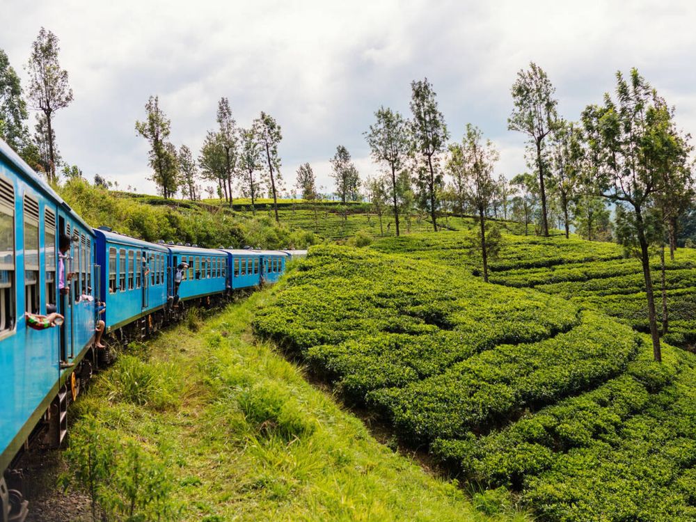 Scenic Train Ride from Kandy to Ella