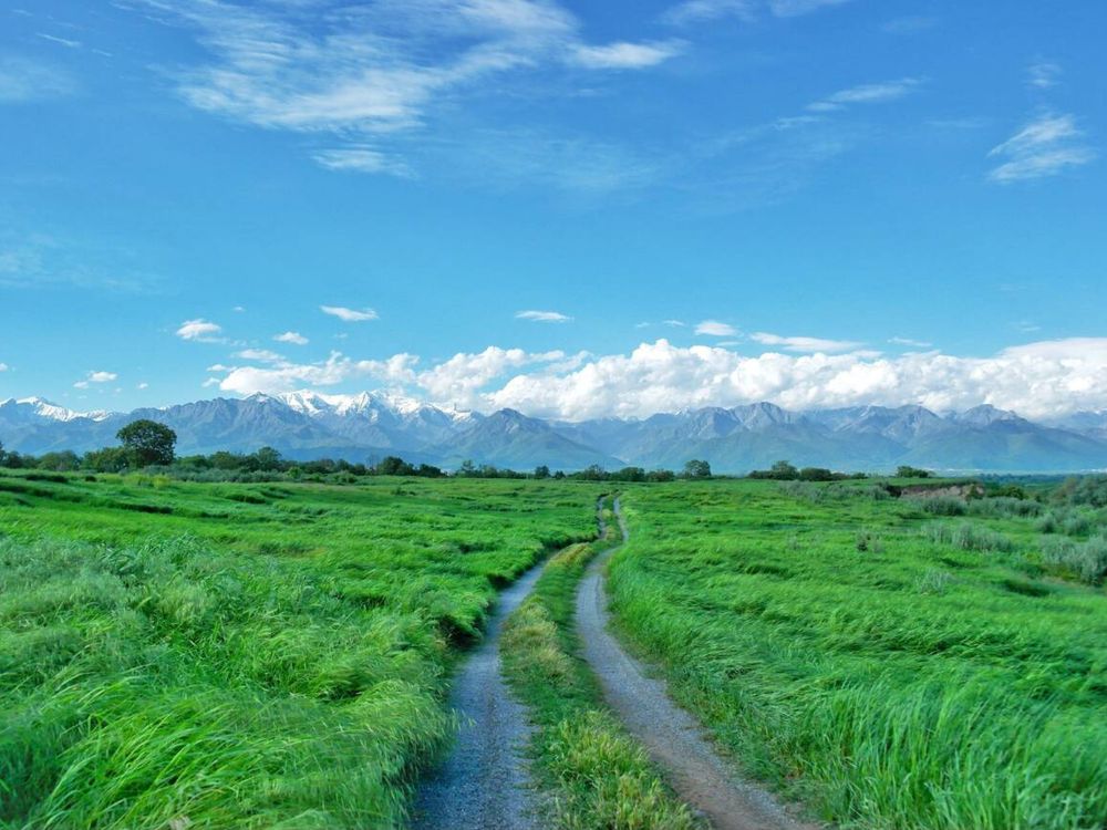 Beautiful landscape in Gabala