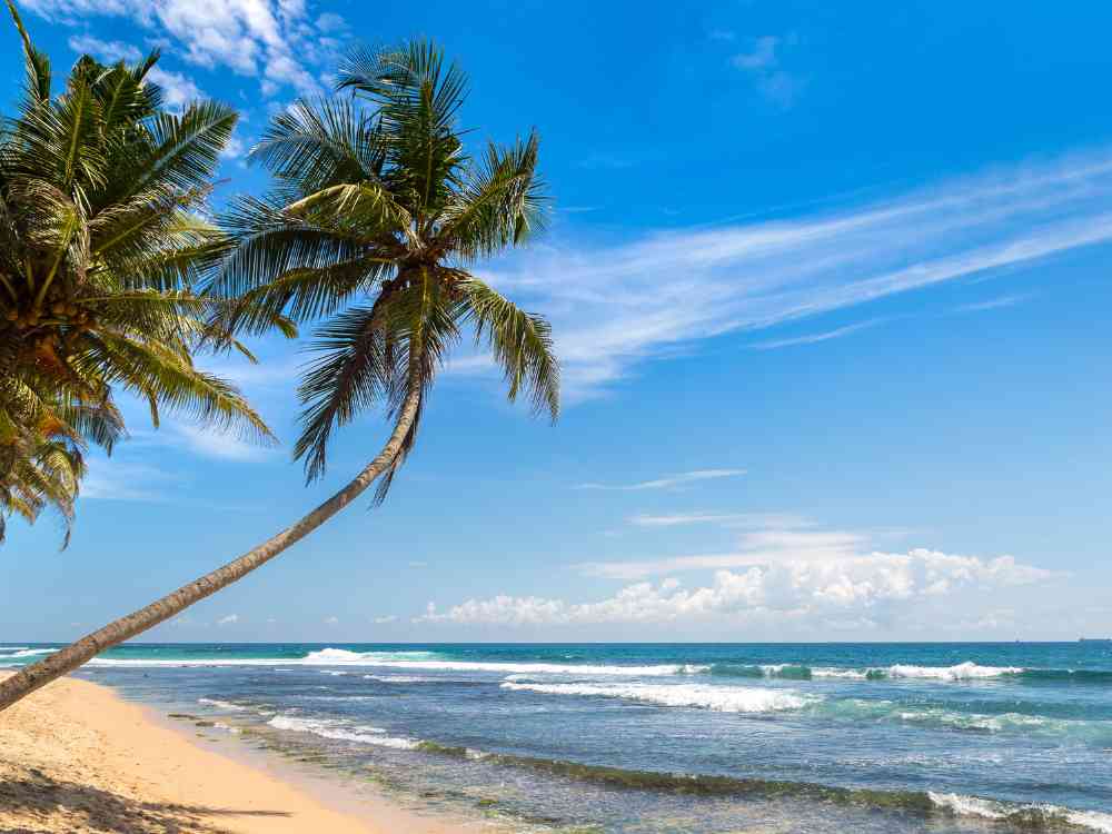 Dalawella Beach - best beaches in Sri Lanka