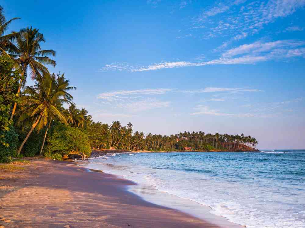 Mirissa Beach