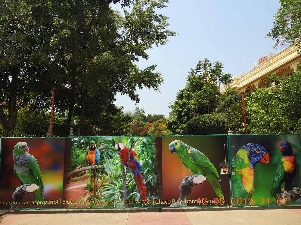 Birds in Shuka Van, Mysore