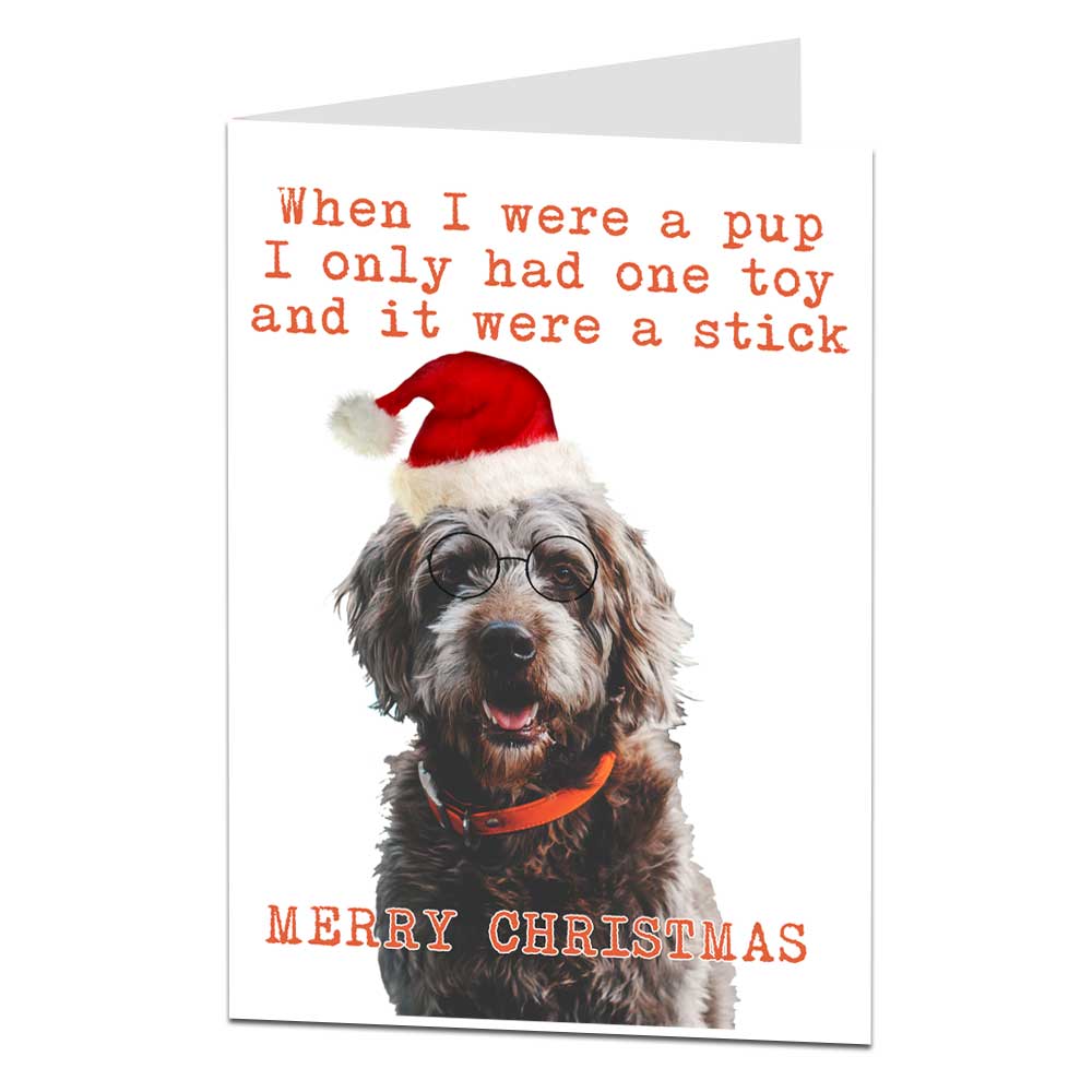 dog-christmas-card-free-stock-photo-public-domain-pictures