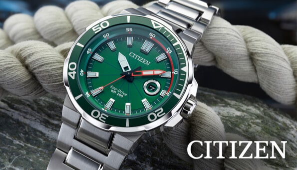 Citizen Eco-Drive Pilot BM7555-83E