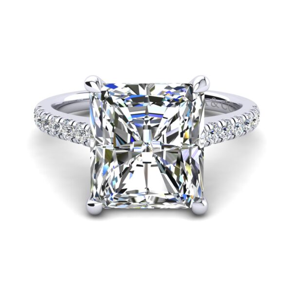 Princess Cut Diamond Engagement Ring With Side Stone White Gold