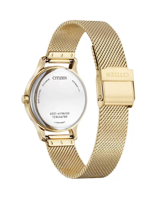 Citizen Ladies Eco- Drive watch EM0892-80D_2