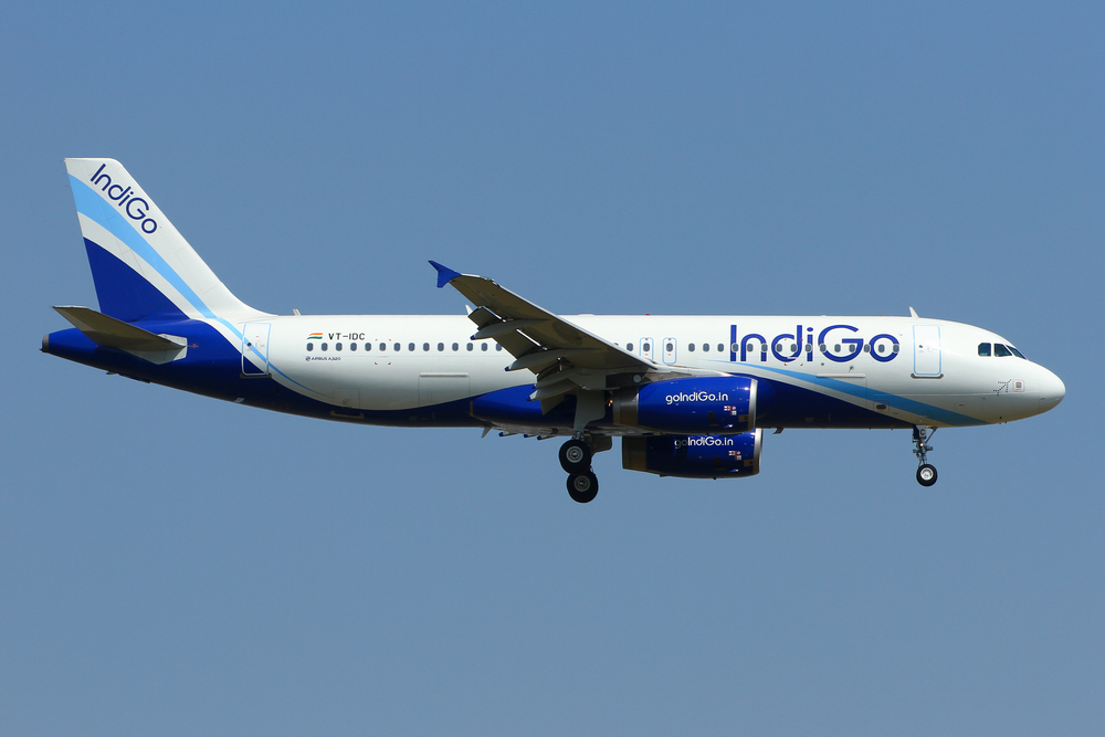 indigo travel guidelines domestic