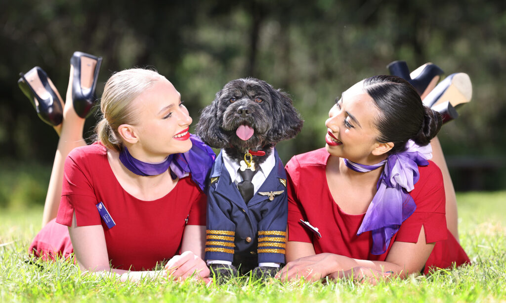 virgin australia travel with pets