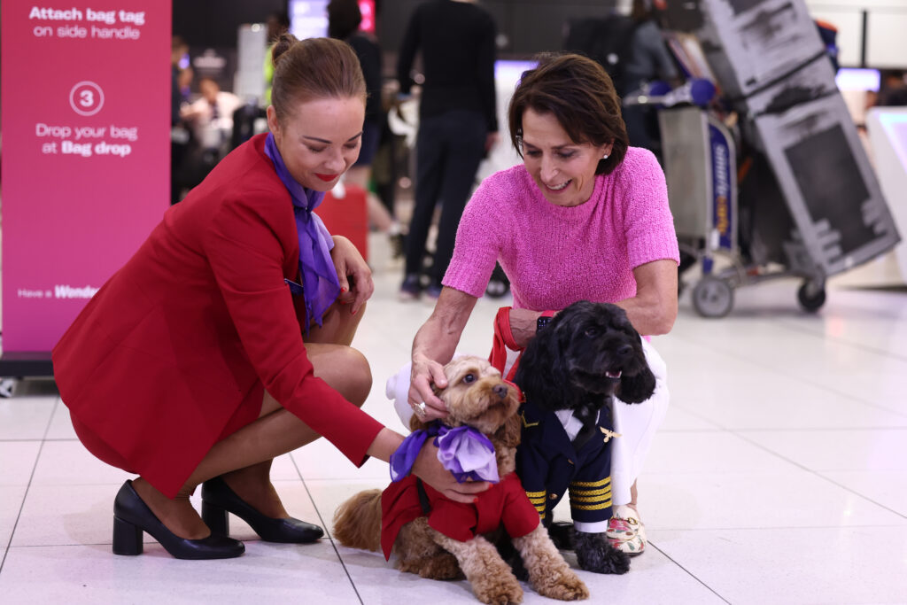 virgin australia travel with pets