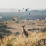 taman safari di indonesia