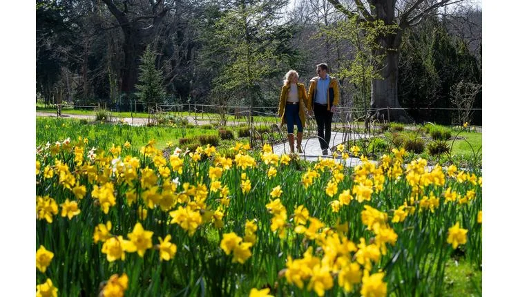 Spring events bloom at Blenheim Palace