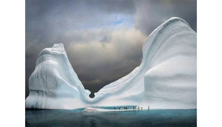 Gondwana Ecotours launches unique Antarctica expedition