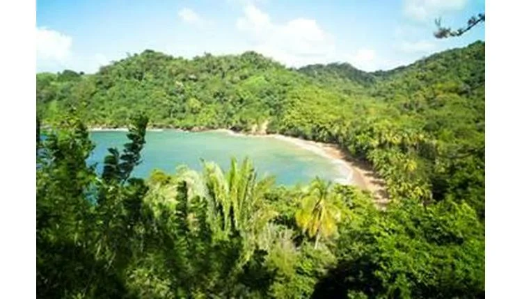 Tobago launches online arrival and departure card