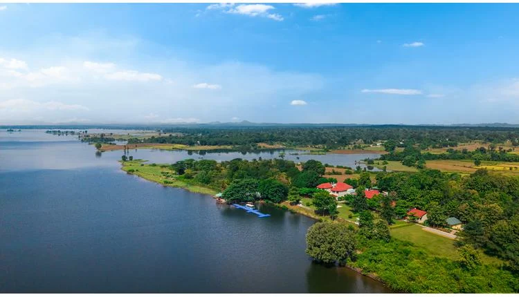 Sayaji Hotels launches ‘The Forest Chapter’ retreats