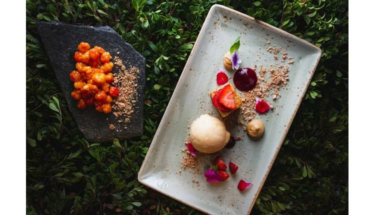 Finland invites world to taste its culinary secrets