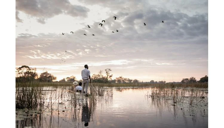 Travellers embrace Africa’s quiet luxury safaris