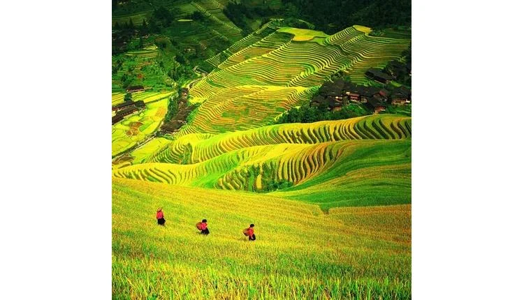 Jackie Chan and Trip.com Group promote Guilin tourism