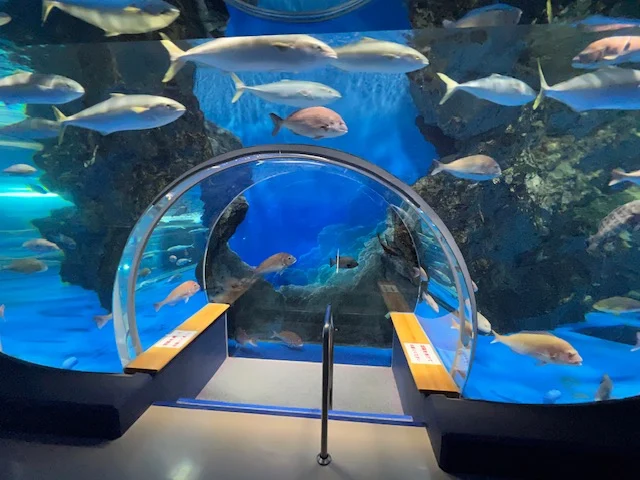 Notojima Aquarium introduces unique ‘Gyoin’ seals