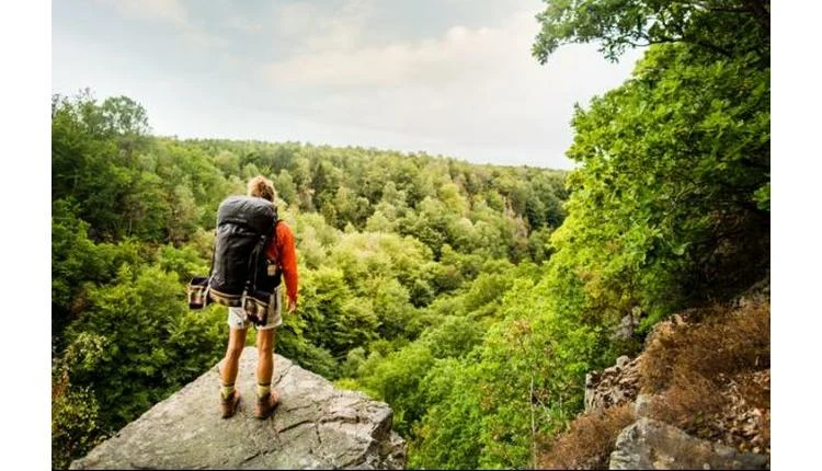 Sweden offers free stay for silent beach retreat
