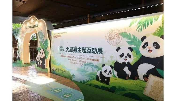 Giant pandas celebrate birthdays at River Wonders