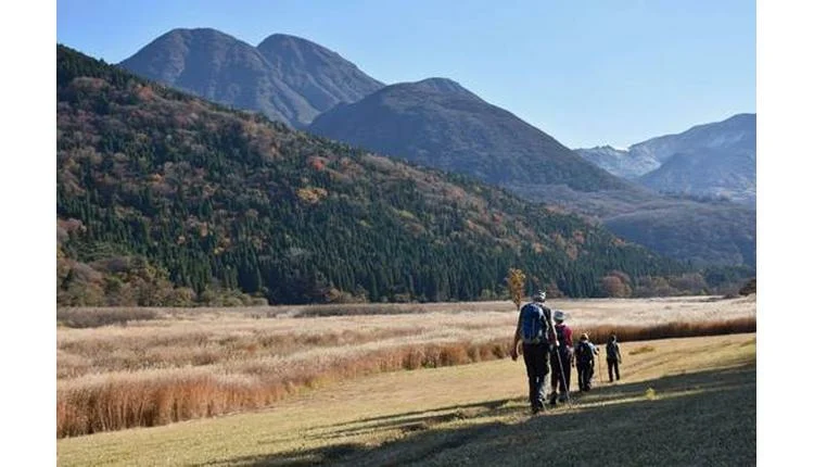 Walk Japan unveils solo-ish travel itineraries
