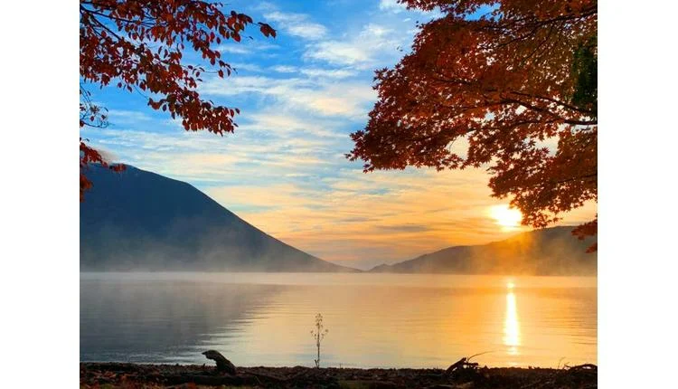 Explore Nikko’s autumn beauty by rail