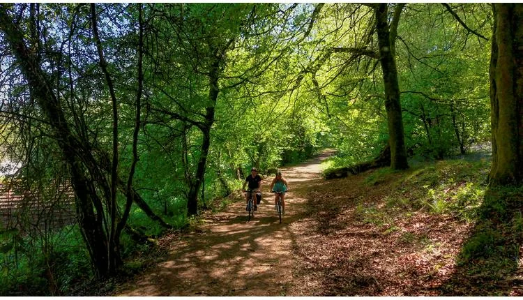 Whitemead Forest Park offers early booking discounts