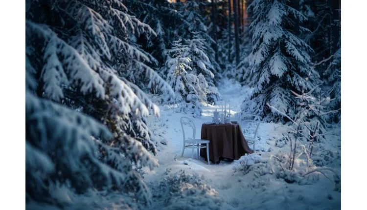 Finland invites singles to epic dinner date
