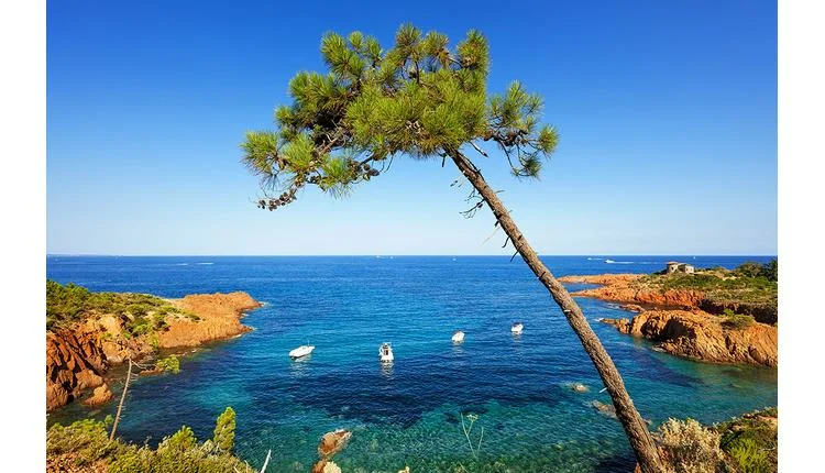 Simpson Travel acquires South France Villas