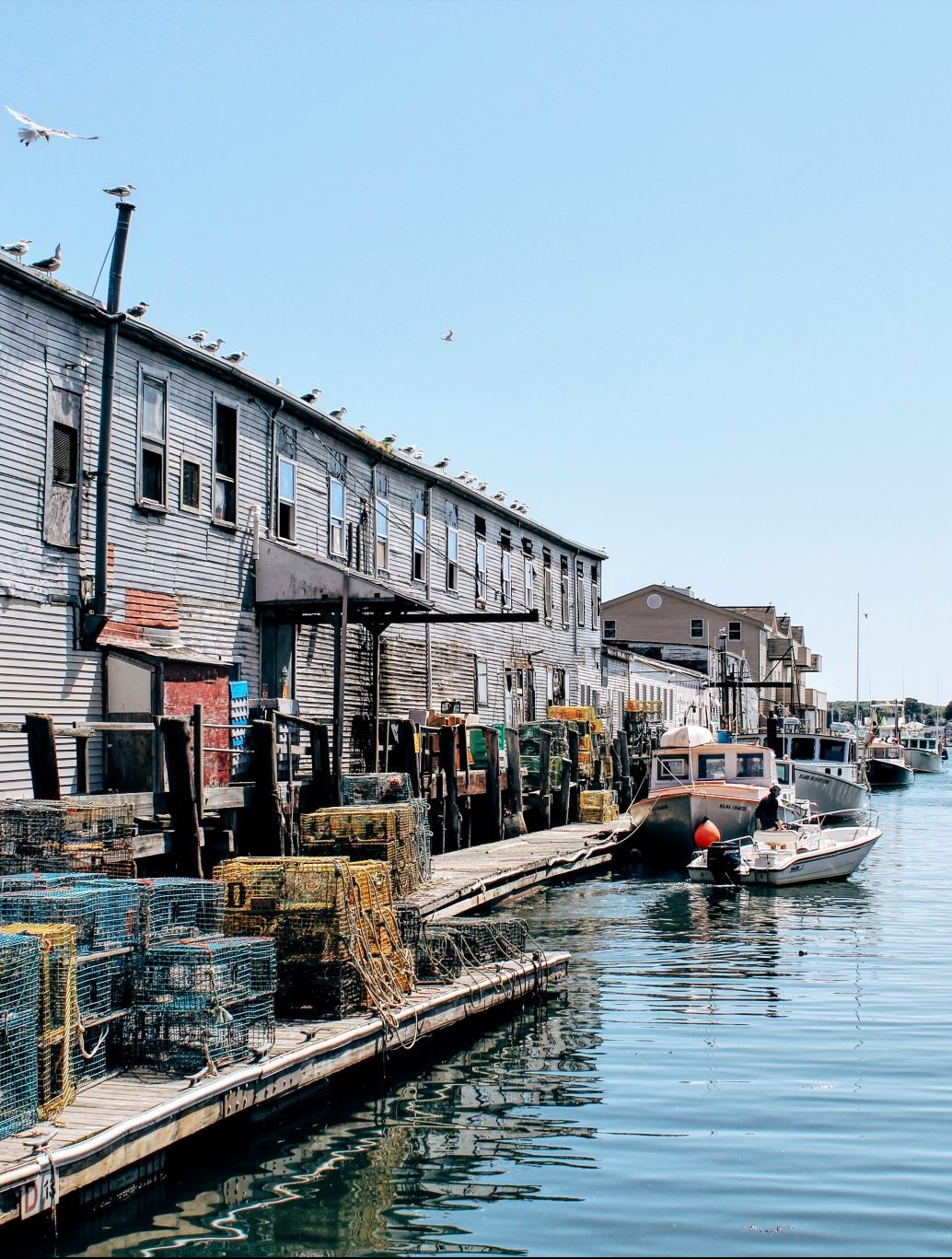 Travel blogger Meaghan Murray shares a city guide for Portland, Maine on her blog The Stopover