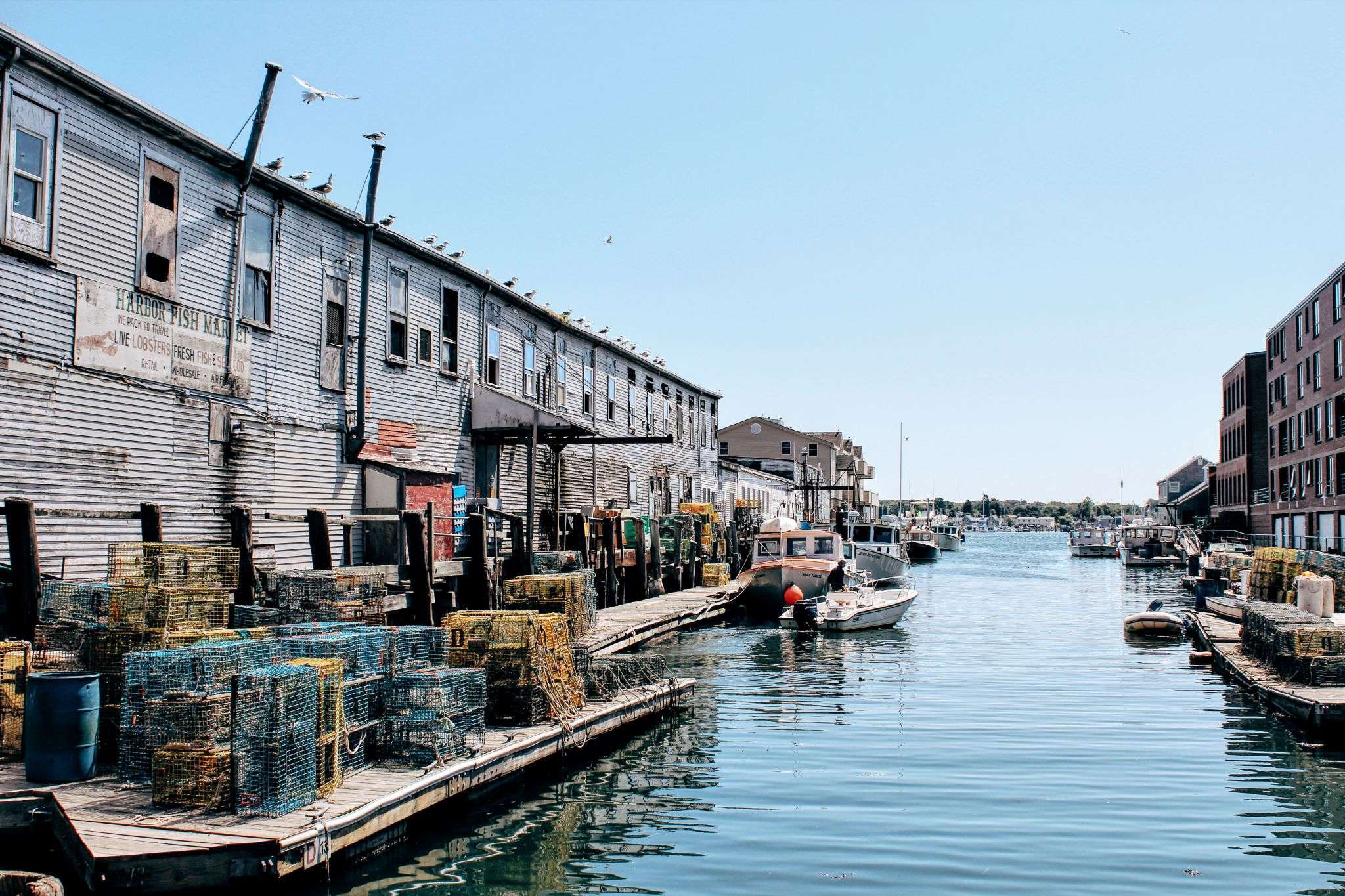 Travel blogger Meaghan Murray shares a restaurant review for Scales in Portland, ME on her blog The Stopover Travel blogger Meaghan Murray shares a restaurant review for Scales in Portland, ME on her blog The Stopover