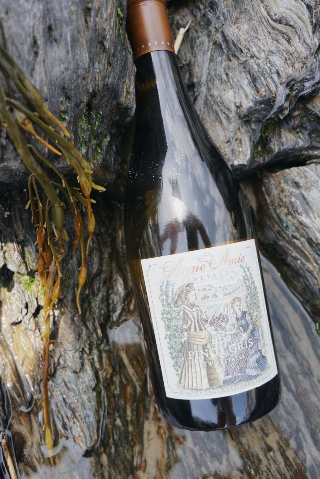 My month in wine - June 2021 Anne Amie Pinot Gris