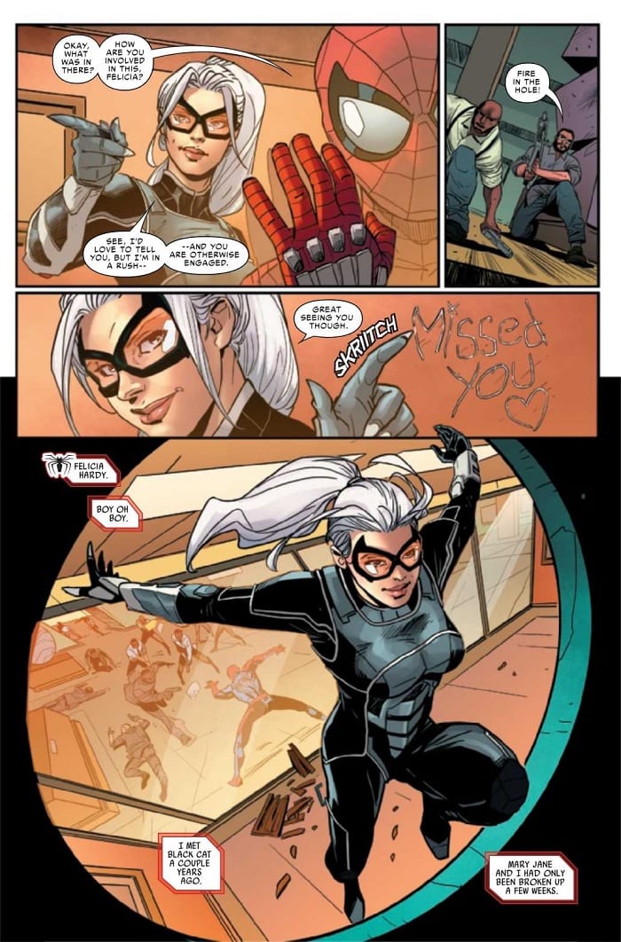 Review: SPIDER-MAN: THE BLACK CAT 