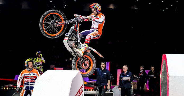 toni bou