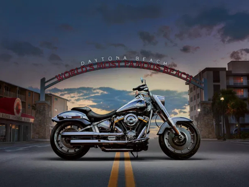 2025 Harley-Davidson Fat Boy Gray Ghost Full Body