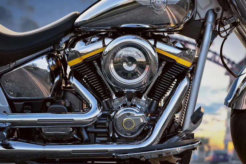 The Milwaukee-Eight 117 Custom V-Twin