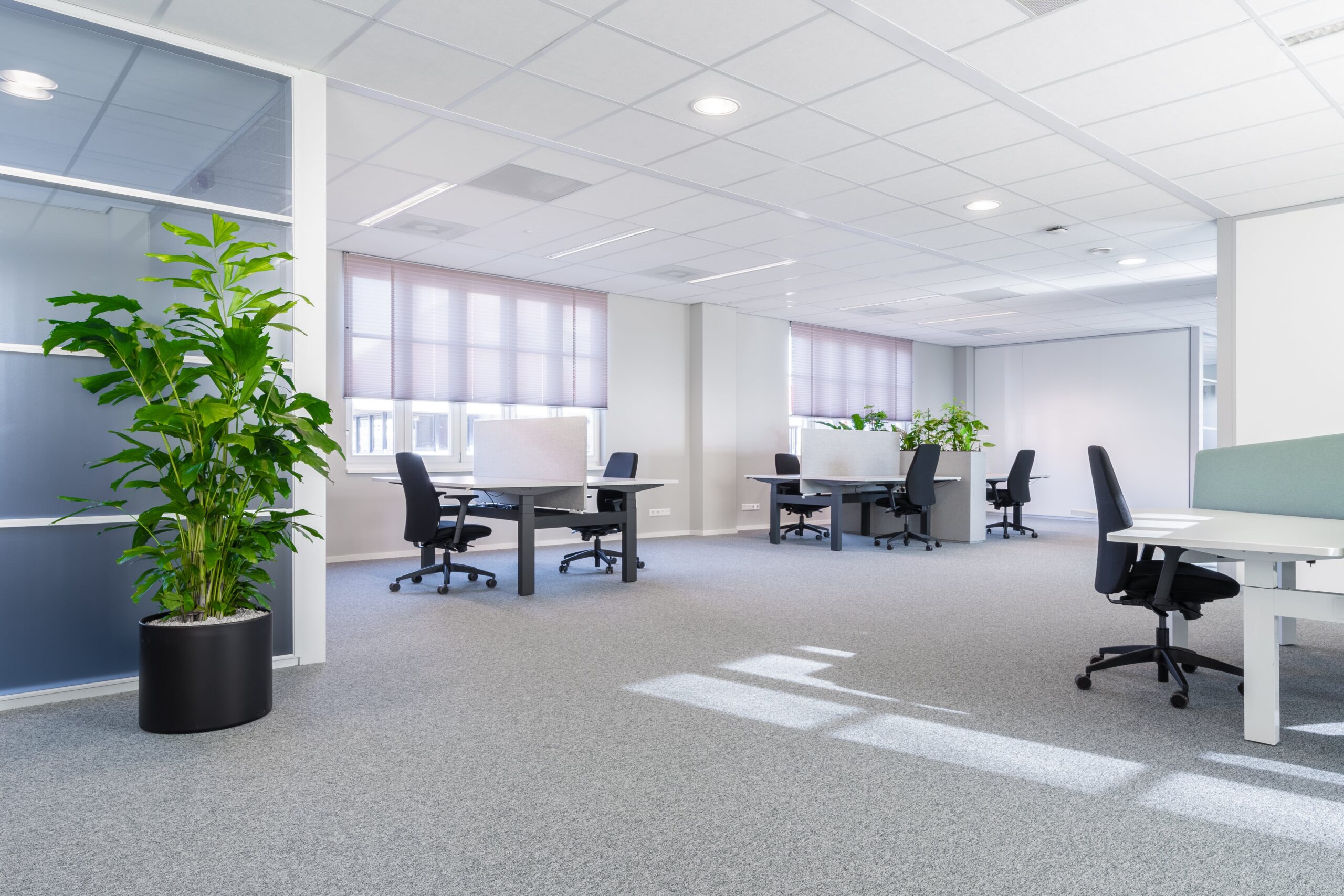 Voor Een Circulaire Werkplek De Beste Bureaustoelen Van OPNIEUW!