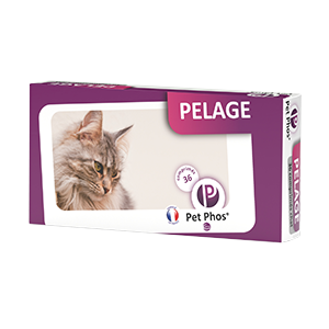 Haustier-Phos-Mantel – Katze – 36 Tabletten – Ceva – Produits-veto.com