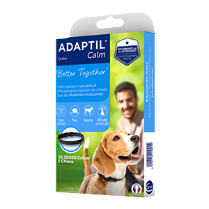 Adaptil Calm Collar - Valp och liten hund - Stress - 37,5 cm - upp till 15 kg - Ceva - Products-veto.com