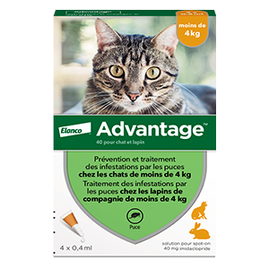 Advantage 40 - Anti pulgas - Gato e Coelho - Menos de 4 Kg - 4 Pipetas - ELANCO - Produits-veto.com